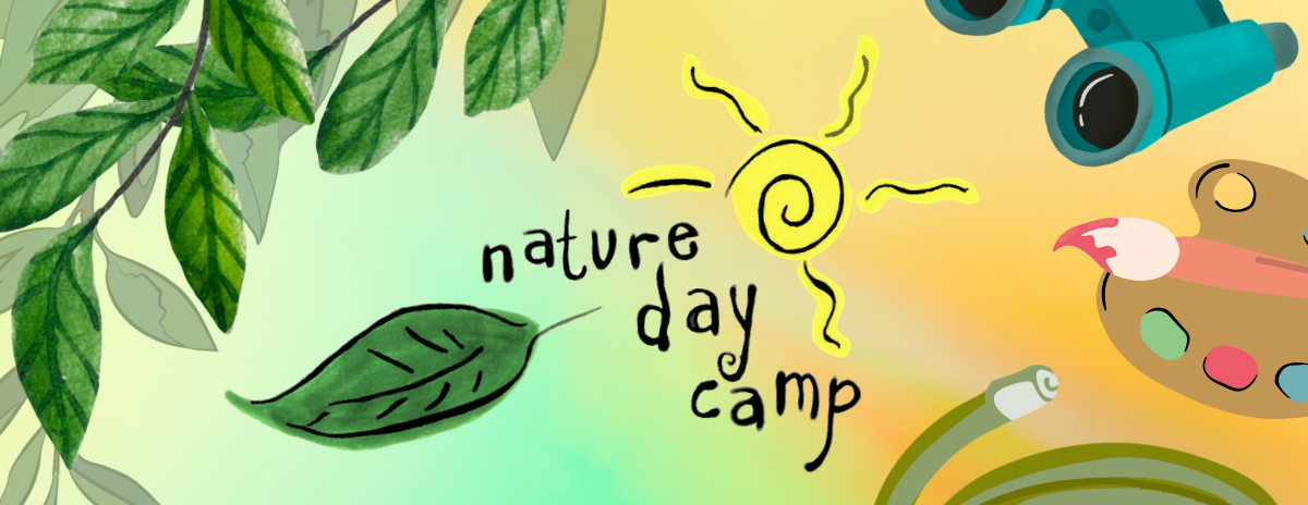 Week 11: Summer Nature Day Camp